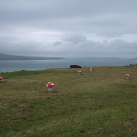 マウントビクトリアの景色