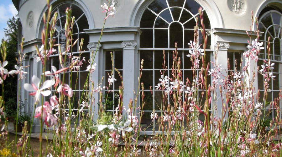 The garden house