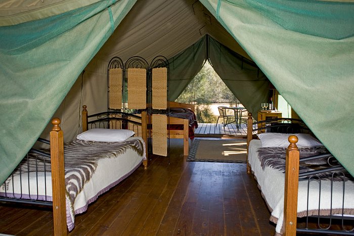 big 4 nelligen safari tents