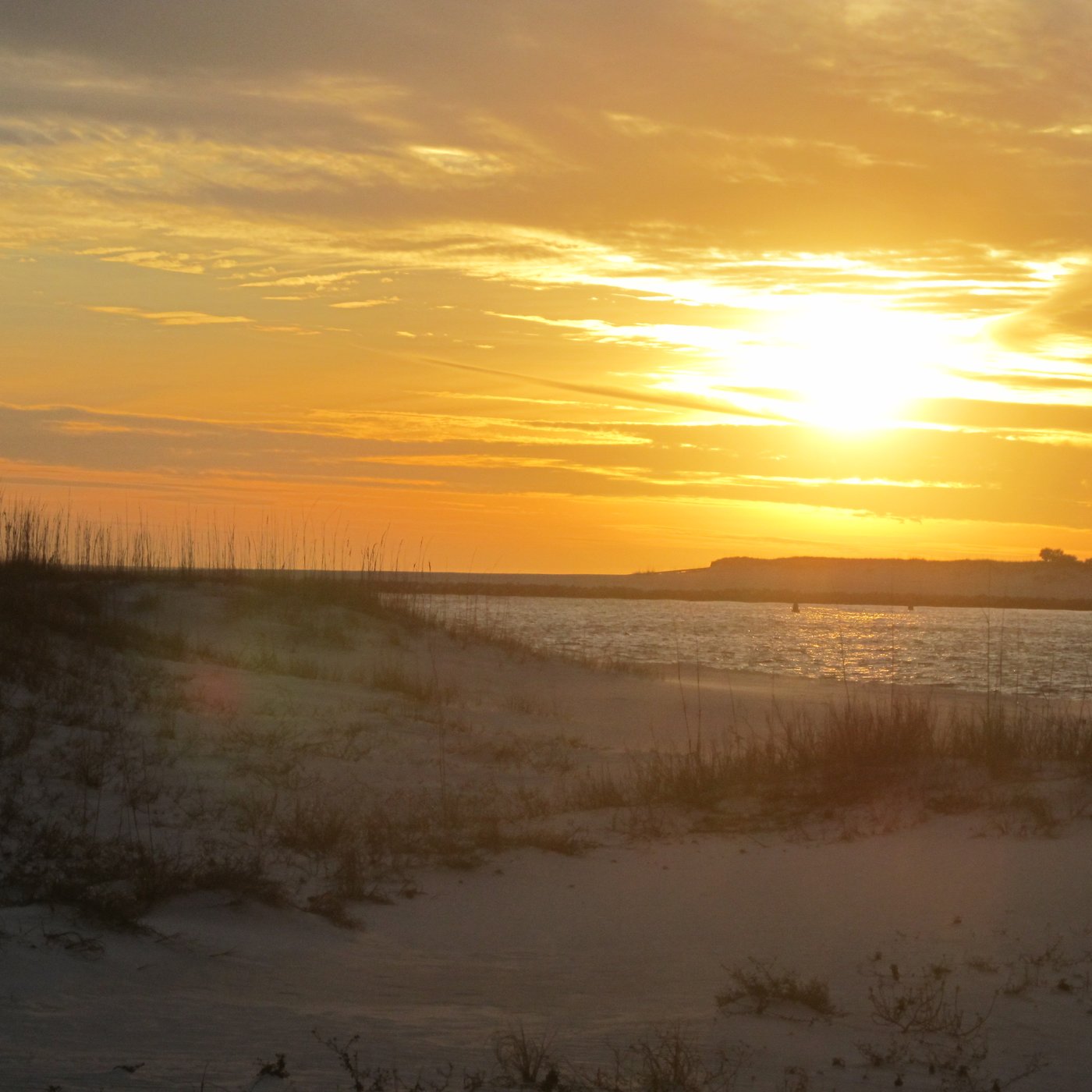 Orange Beach, AL: All You Must Know Before You Go (2024) - Tripadvisor