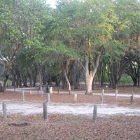 one of the campground site area