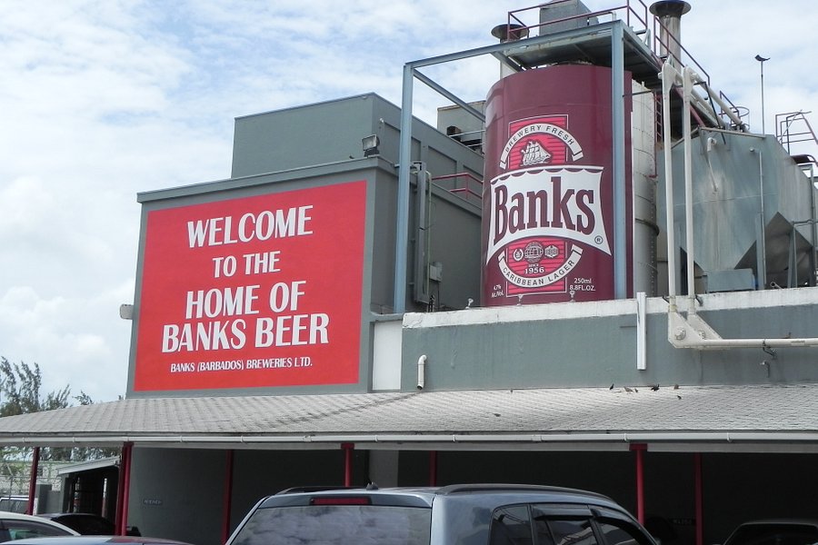 banks beer tour barbados
