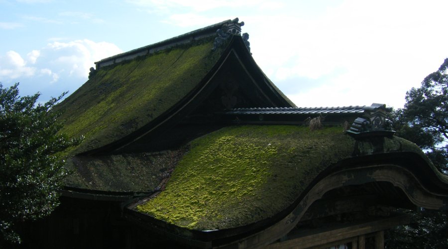秀頼様より。