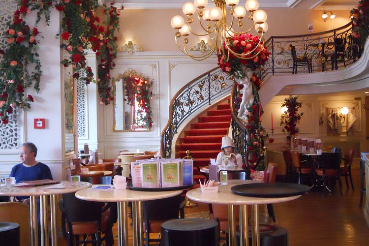 Cafe Felix Cafe Felix