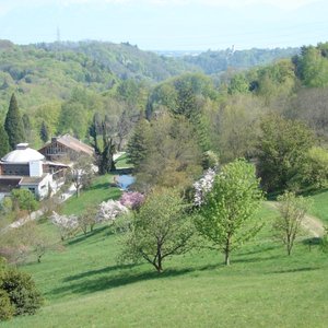 arboretum switzerland