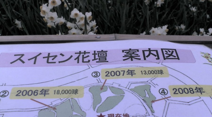 コメントを入力してください (必須)