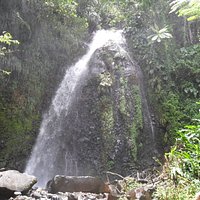 Dark View Falls (St. Vincent and the Grenadines) - All You Need to Know ...