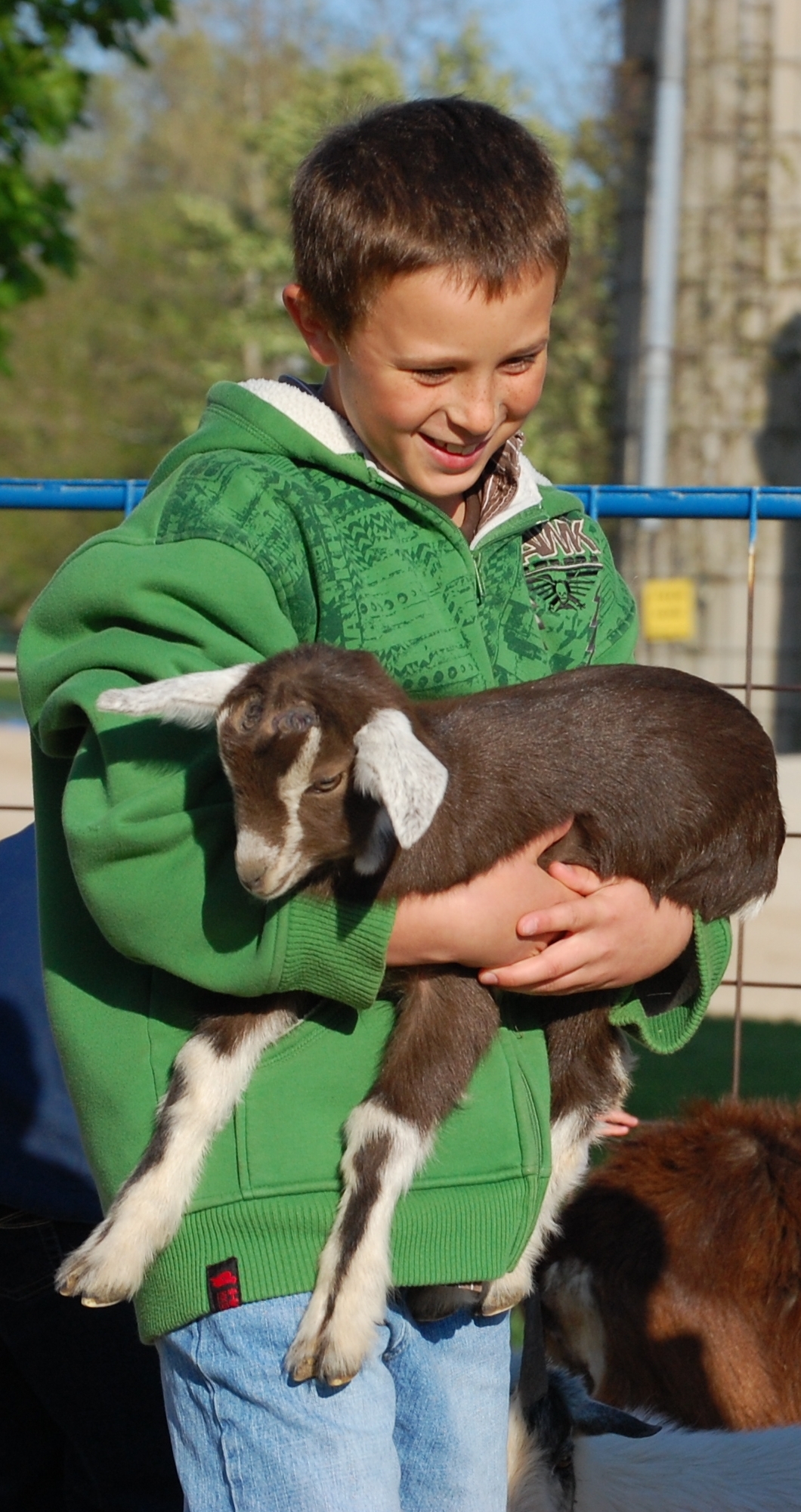 Mulberry lane discount petting farm