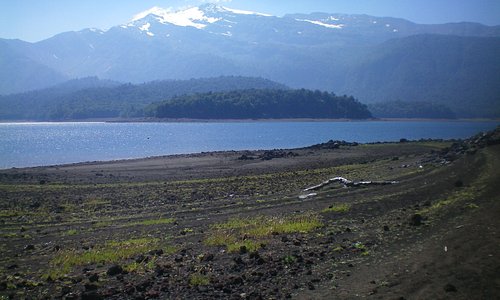 Laguna Conguillío