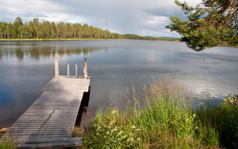 THE 15 BEST Things to Do in Wild Taiga - 2021 (with Photos) - Tripadvisor