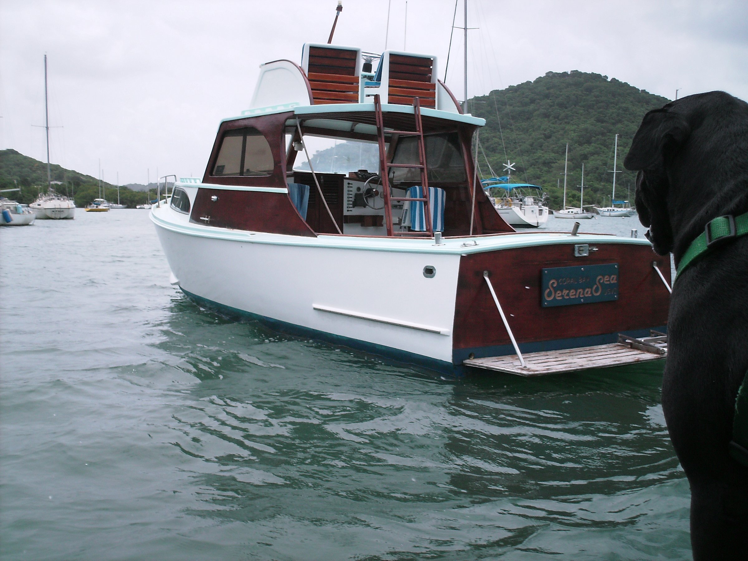 Serena Sea Charter Boat (St. John) All You Need to Know BEFORE You Go