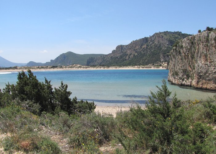 8-Voidokilia