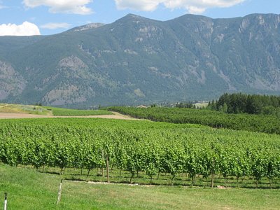 creston bc winery tour