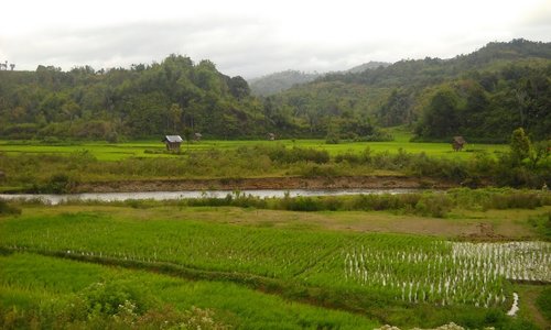 Jambi, Indonesia 2024: Best Places to Visit - Tripadvisor