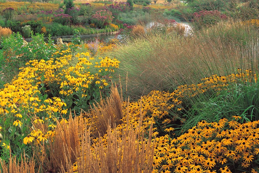 The Holden Arboretum image