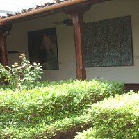 Museo garden 1