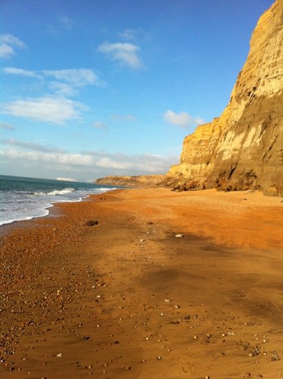 Isle of Wight Fossil Hunts - Island Gems - All You Need to Know BEFORE ...