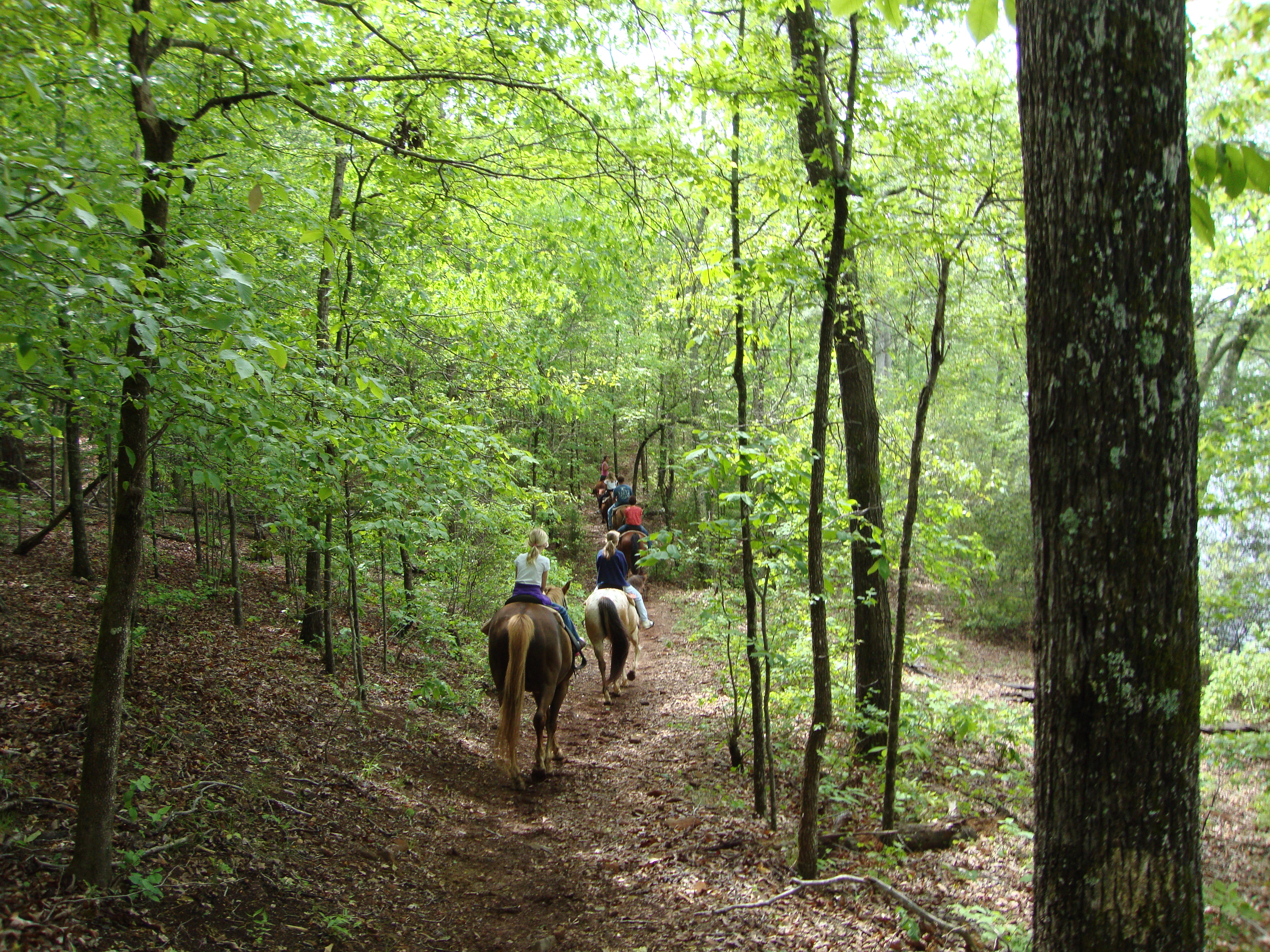 Roosevelt Stables - All You Need to Know BEFORE You Go (with Photos)