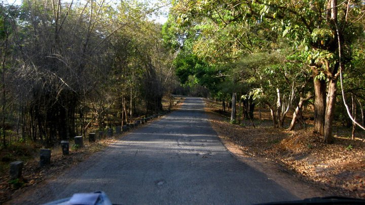 Bondla Wildlife Sanctuary (Goa) - All You Need to Know BEFORE You Go