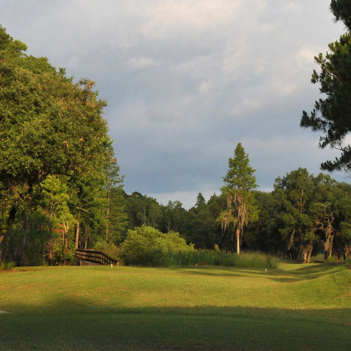 Wentworth Golf Club (Tarpon Springs) All You Need to Know BEFORE You Go