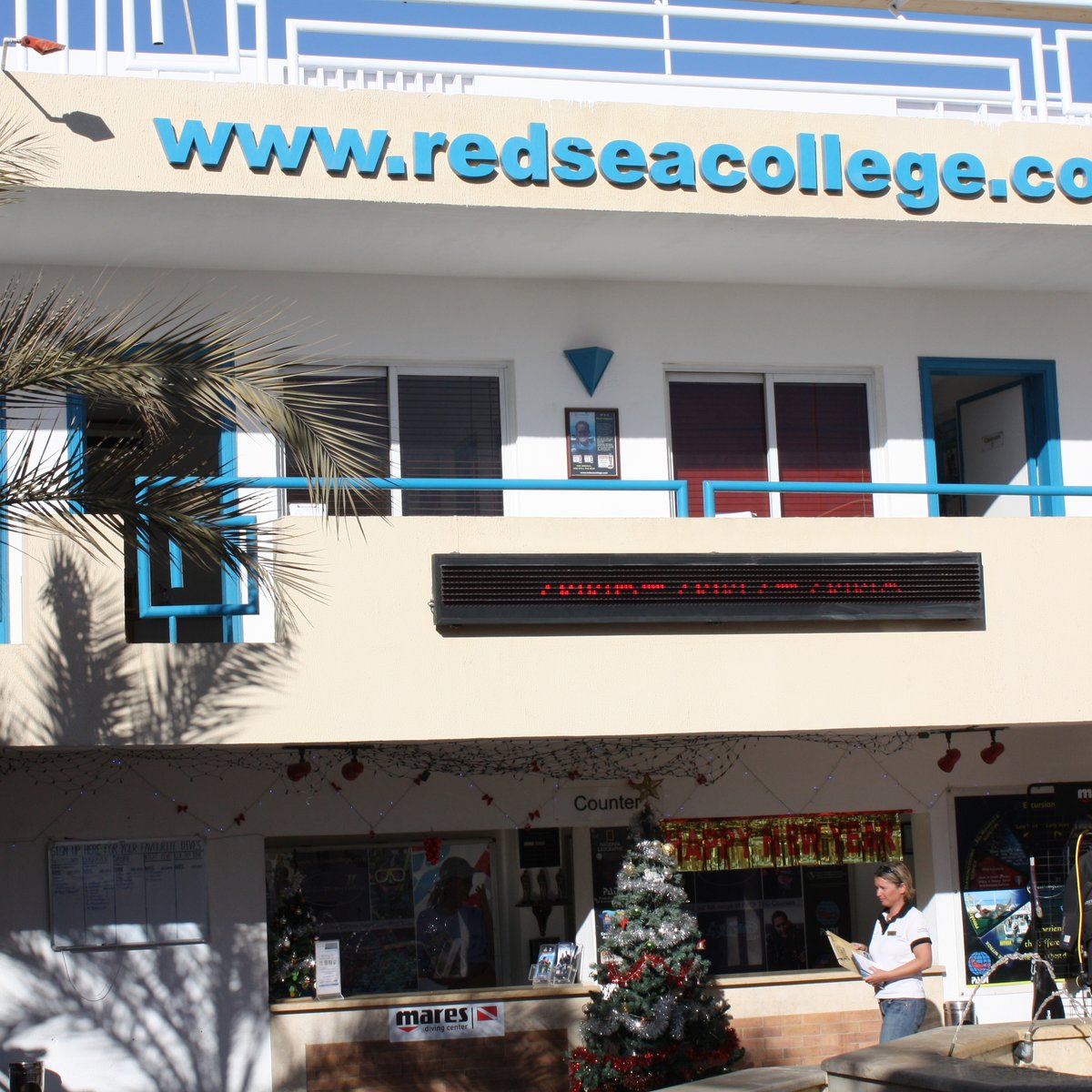 Red Sea Diving College, Шарм-эль-Шейх: лучшие советы перед посещением -  Tripadvisor