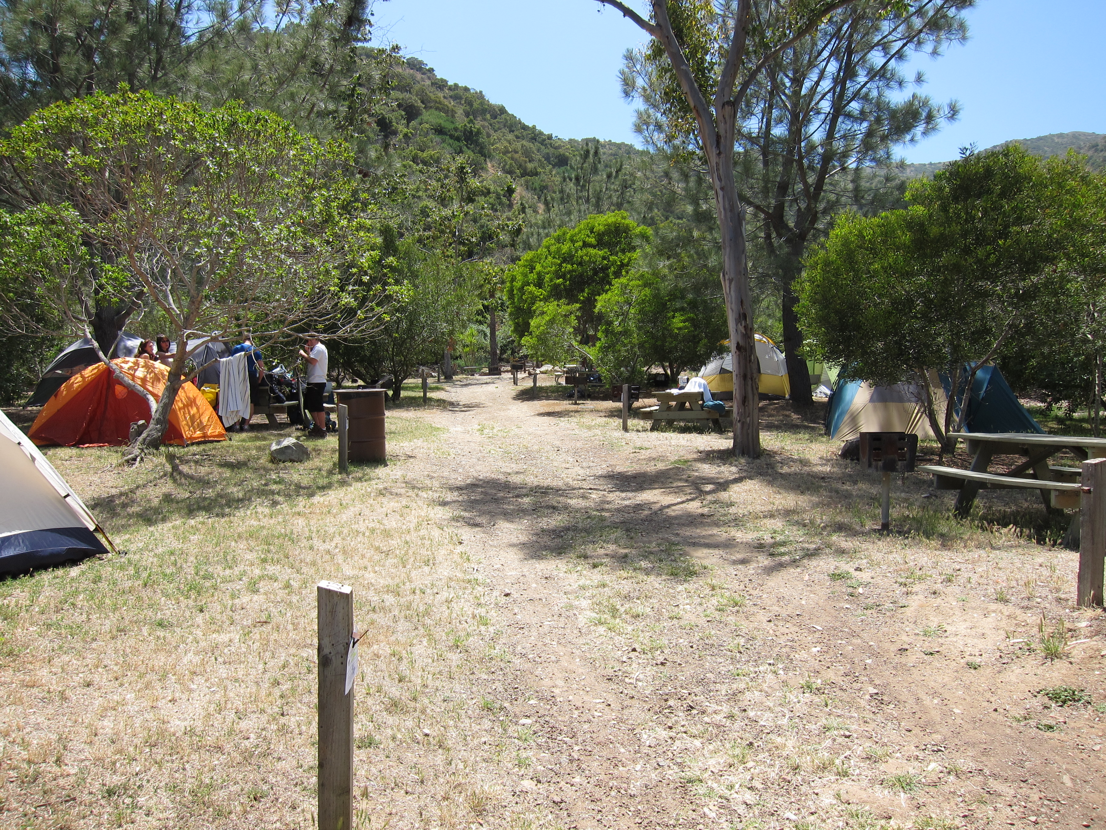 Avalon campsite clearance