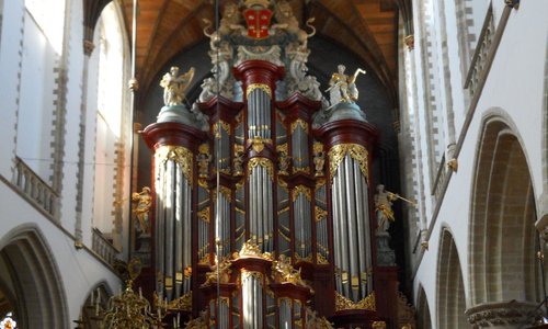 Organ pipes
