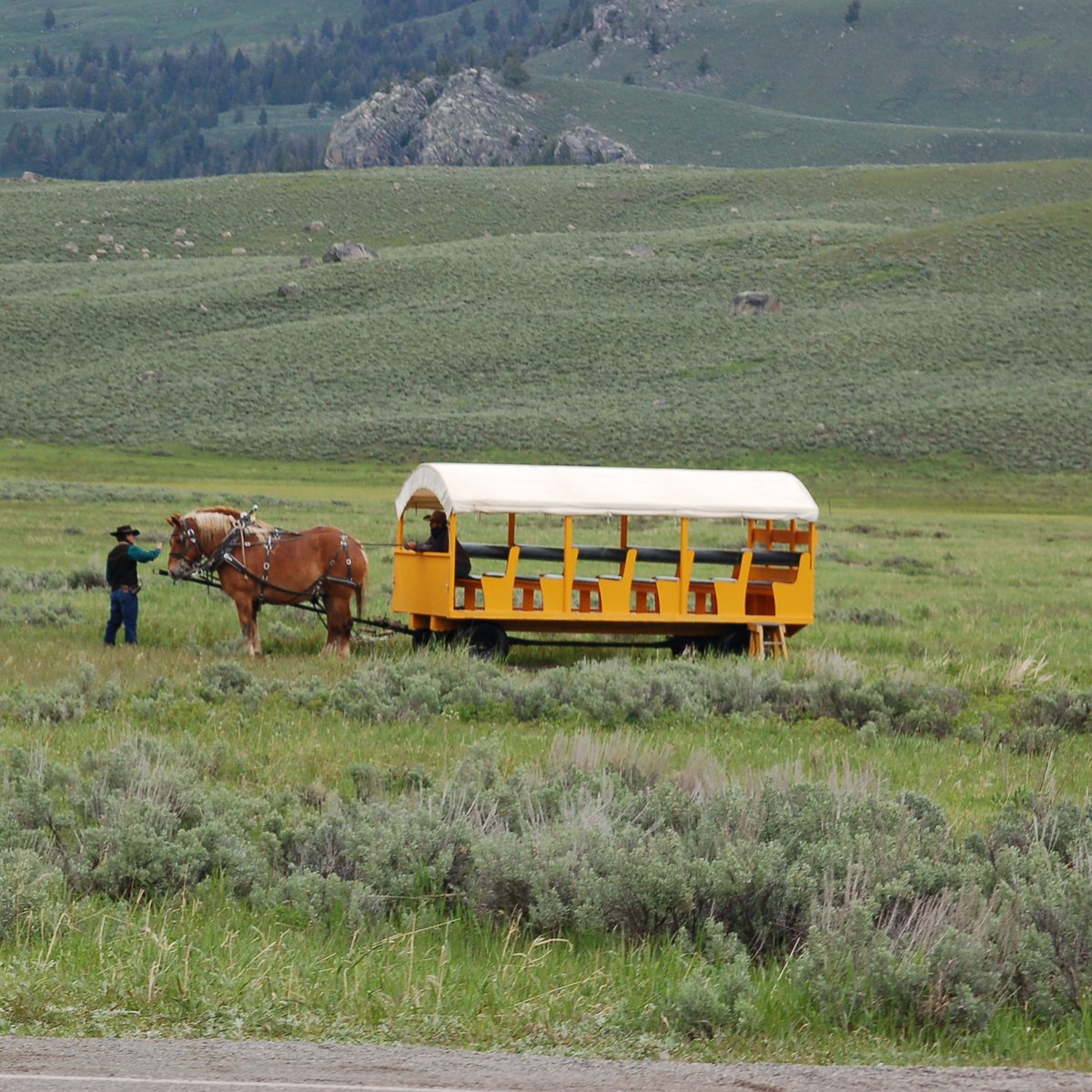 old-west-dinner-cookout-parque-nacional-de-yellowstone-lo-que-se