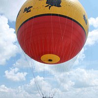 Characters in Flight Helium Balloon