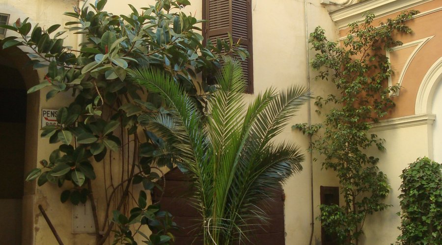 The courtyard outside the hotel