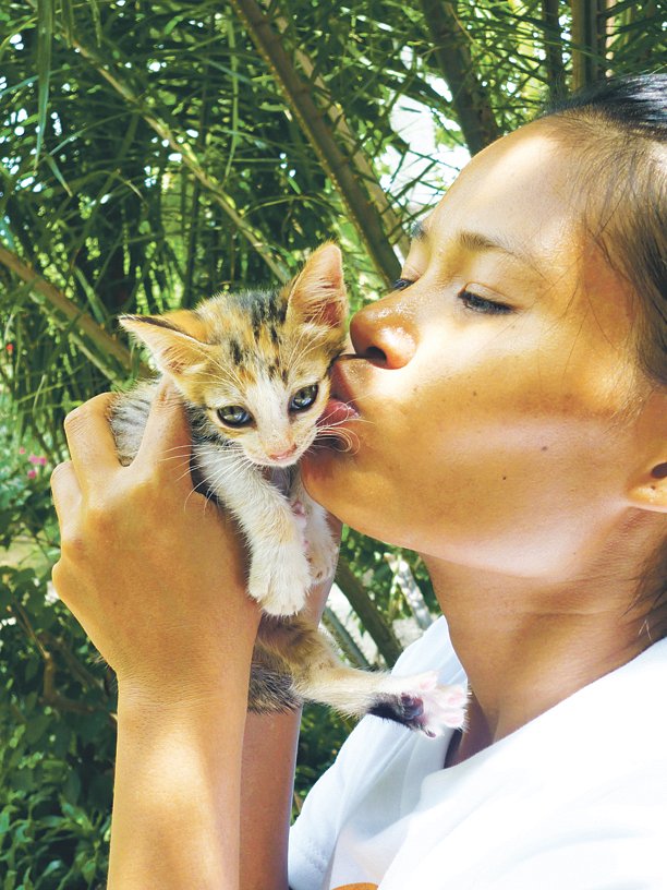 Lanta Animal Welfare (Ban Sala Dan) - All You Need to Know BEFORE You Go Lanta Animal Welfare (Ban Sala Dan) - All You Need to Know BEFORE You Go