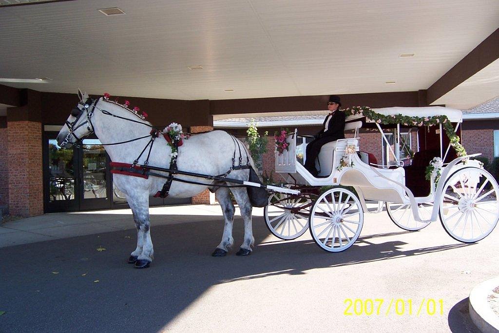 Horse Drawn Scenic Tours of Grand Rapids - Kent City MI, 49330