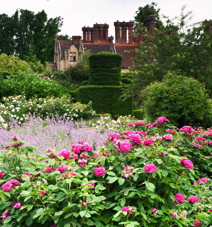 BORDE HILL GARDEN All You Need to Know BEFORE You Go with Photos