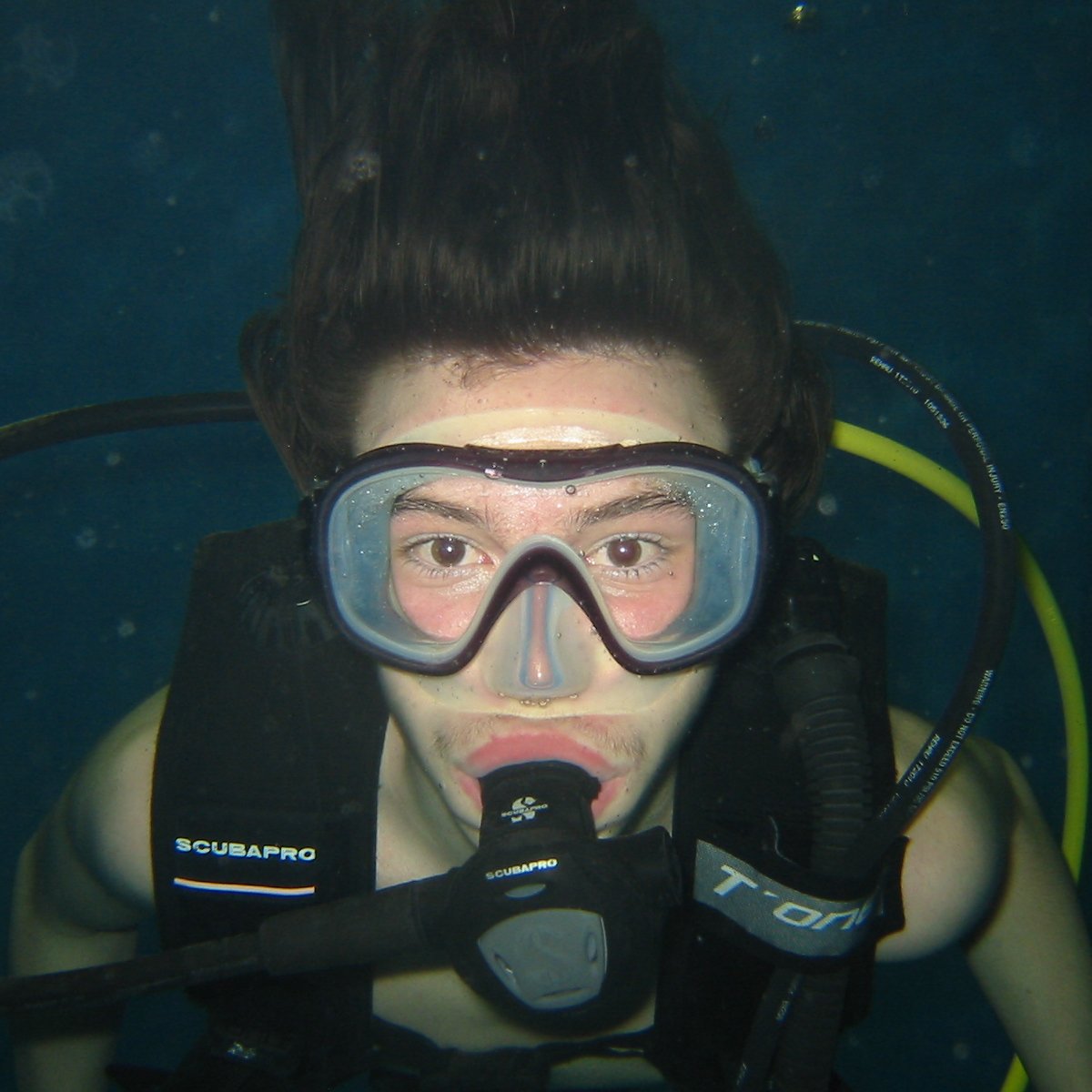 DO DIVE PARIS (2025) All You Should Know Before You Go (with Reviews)