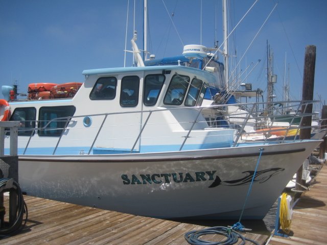 Sanctuary Cruises (Moss Landing) - All You Need to Know BEFORE You Go