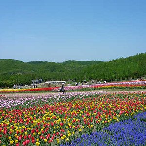 21年 札幌市で絶対外さないおすすめ観光スポットトップ10 定番から穴場まで トリップアドバイザー 21年 札幌市で絶対外さないおすすめ観光スポットトップ10 定番から穴場まで トリップアドバイザー