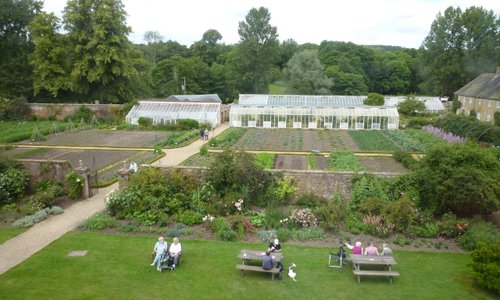 Kitchen Garden from House