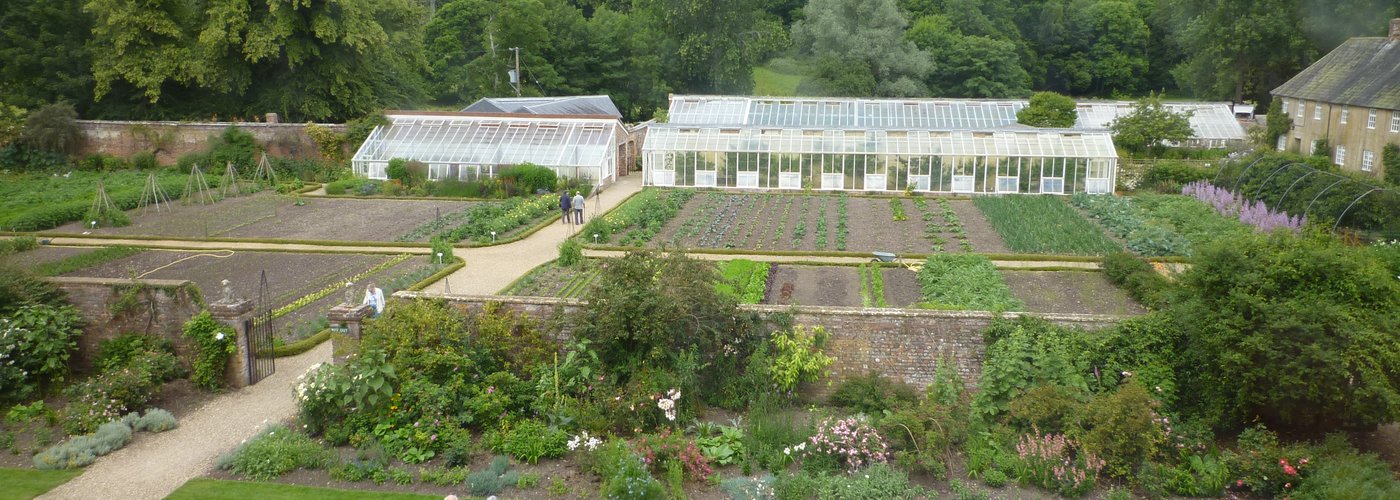 Kitchen Garden from House