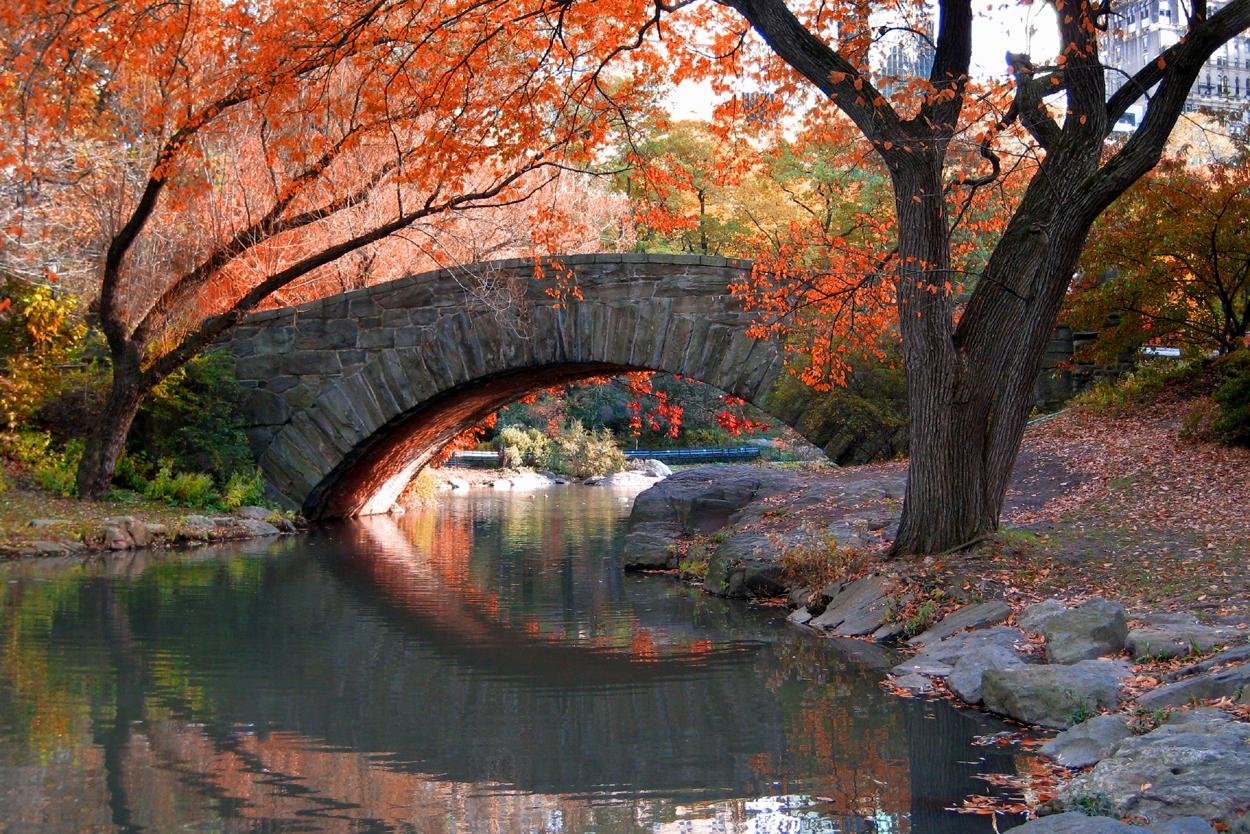 Custom & Private New York Tours Inc - 뉴욕 - Custom & Private New York Tours Inc의 리뷰 - 트립어드바이저