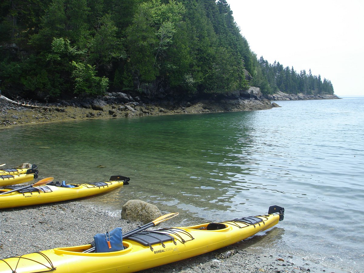 national park sea kayak tours tours