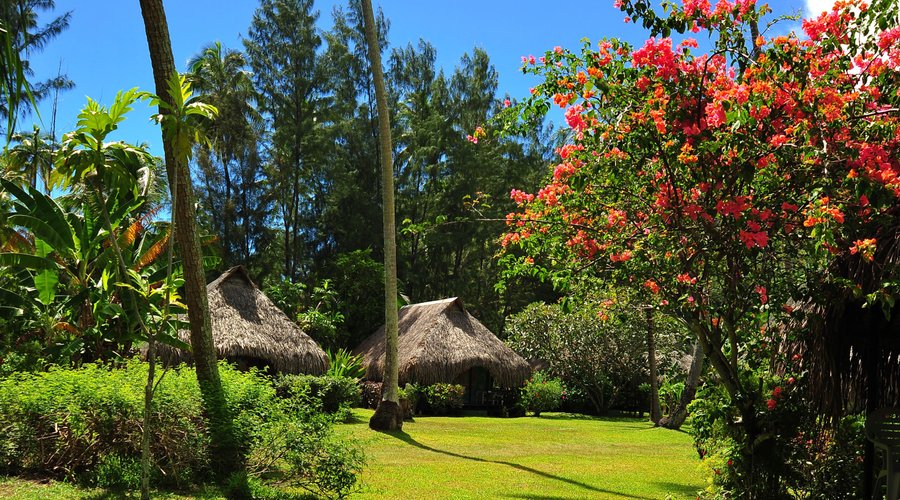 Bungalows Jardin