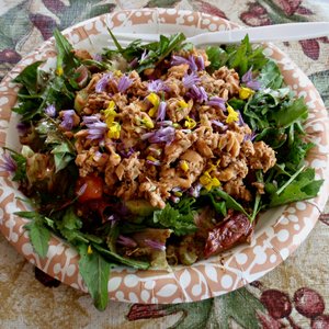 Spicy salmon on greens, yummy!
