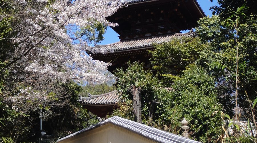 3 story pagoda at Saikoku-ji Temple