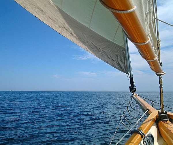 My Image 25