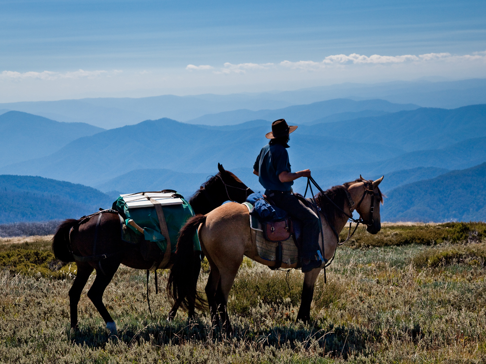 Mountain horse store victoria high rider