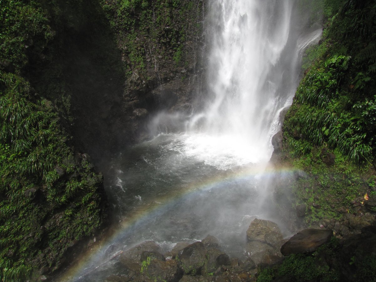 DIE TOP 10 Sehenswürdigkeiten in Roseau 2022 (mit fotos) Tripadvisor