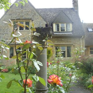 Manor Close Mature English Garden