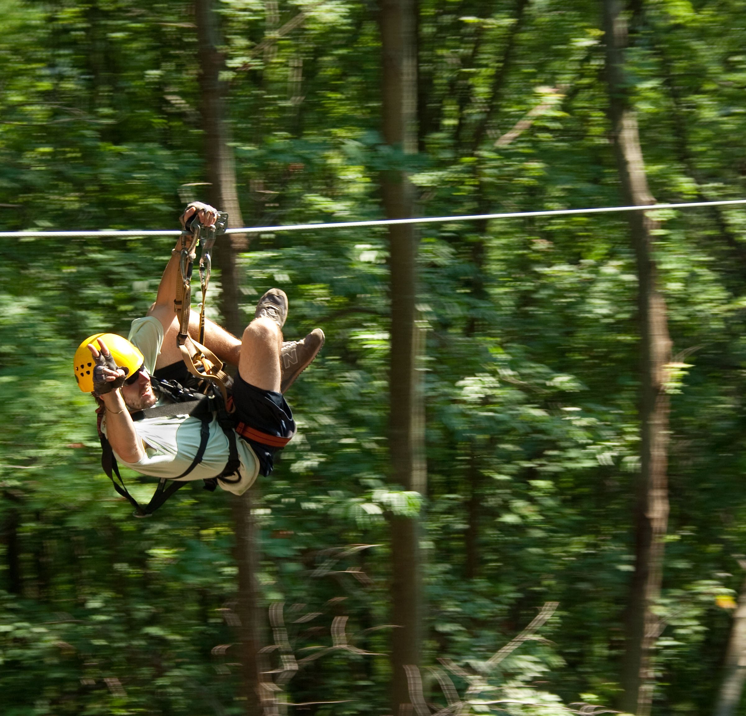 treetops canopy tour wv