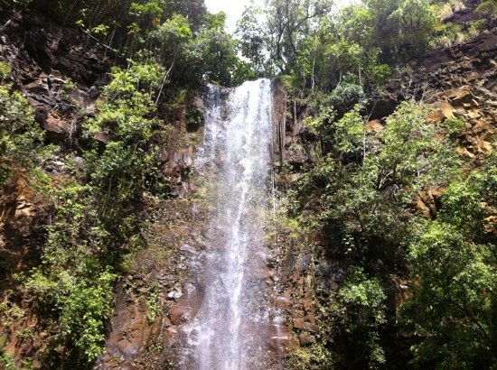 WAILUA KAYAK ADVENTURES (Kapaa) - 2023 What to Know BEFORE You Go