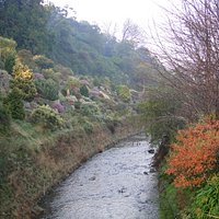 Dunedin Botanic Garden